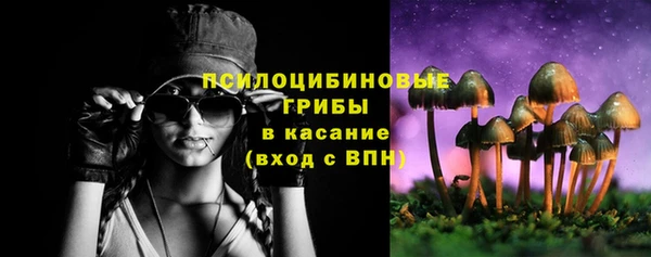 а пвп мука Алзамай