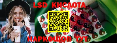 мяу мяу мука Краснознаменск