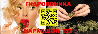 мяу мяу мука Краснознаменск